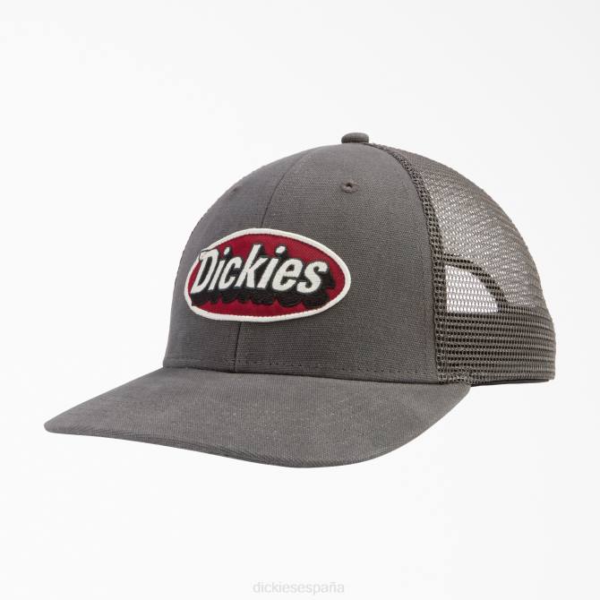 gorra trucker con parche del logo unisexo Dickies gris pizarra (sl) N8N02910 accesorios