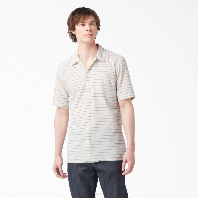 camisa de manga corta a rayas 1922 hombres Dickies cambray azul enjuagado (rblc) N8N0943 vestir