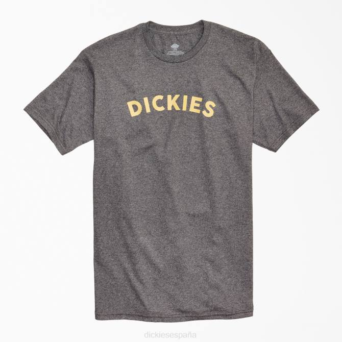 bloque de texto camiseta gráfica hombres Dickies brezo gris carbón (chh) N8N0906 vestir