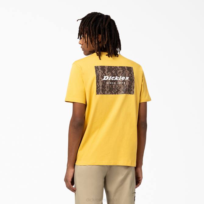 caja de camden camiseta gráfica hombres Dickies cosechar oro (gv) N8N0887 vestir