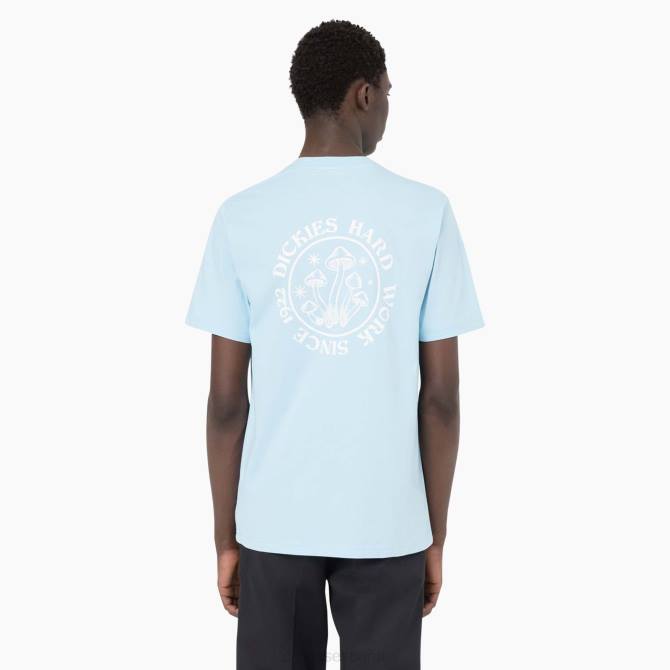 camiseta de manga corta jardines junto a la bahía hombres Dickies azul cielo (su9) N8N0585 vestir