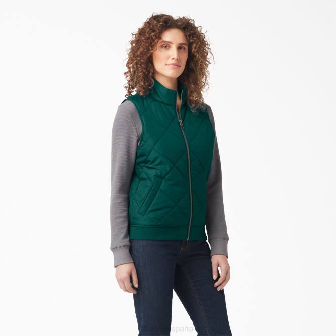 chaleco acolchado mujer Dickies verde bosque (pies) N8N02297 vestir