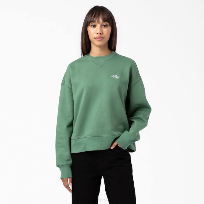 sudadera con capucha mujer Dickies hiedra oscura (d2i) N8N02291 vestir