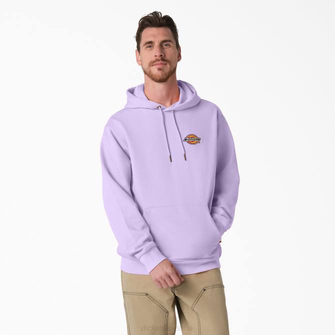 sudadera con capucha y logo bordado en el pecho hombres Dickies regular N8N01211 vestir