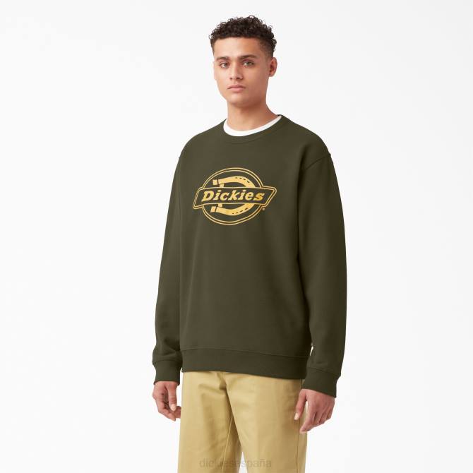 sudadera con gráfico del logo hombres Dickies regular N8N01213 vestir